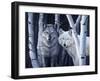 The Eyes Have It-Rusty Frentner-Framed Giclee Print