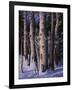 The Eyes of the King-R.W. Hedge-Framed Giclee Print