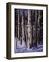 The Eyes of the King-R.W. Hedge-Framed Giclee Print