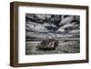 The Eyes-Bragi Ingibergsson --Framed Photographic Print