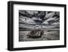 The Eyes-Bragi Ingibergsson --Framed Photographic Print