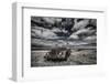 The Eyes-Bragi Ingibergsson --Framed Photographic Print