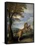 The Fable of the Lion and the Mouse-Frans Snyders-Framed Stretched Canvas