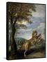 The Fable of the Lion and the Mouse-Frans Snyders-Framed Stretched Canvas