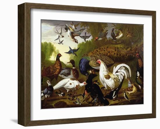 The Fable of the Raven with a Peacock, Cockerel, Woodpecker, Jay, Woodcock, and Magpie-Pieter Casteels-Framed Giclee Print