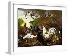 The Fable of the Raven with a Peacock, Cockerel, Woodpecker, Jay, Woodcock, and Magpie-Pieter Casteels-Framed Giclee Print