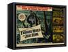 The Fabulous World of Jules Verne, 1961-null-Framed Stretched Canvas