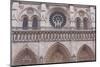 The Facade of Notre Dame De Paris Cathedral, Paris, France, Europe-Julian Elliott-Mounted Photographic Print