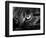 The Face Of A Cat In Black And White-anderm-Framed Art Print