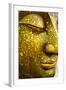 The Face of Buddha-Wasu Watcharadachaphong-Framed Photographic Print