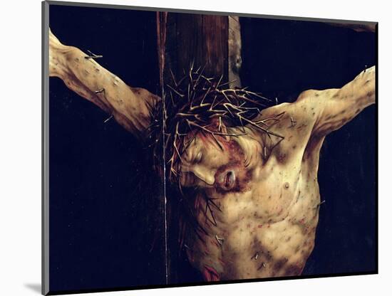 The Face of Christ, Detail from the Crucifixion from the Isenheim Altarpiece, circa 1512-16-Matthias Grünewald-Mounted Premium Giclee Print