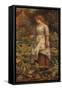 The Fair Gardener, 19th Century-Arthur Hughes-Framed Stretched Canvas
