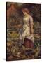 The Fair Gardener-Arthur Hughes-Stretched Canvas