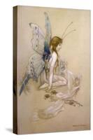 The Fairies Came Flying in at the Window and Brought Her Such a Pretty Pair of Wings-Warwick Goble-Stretched Canvas