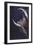 The Fairy of the Moon-Hermann Kaulbach-Framed Giclee Print