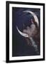 The Fairy of the Moon-Hermann Kaulbach-Framed Giclee Print