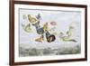 The Fairy Queen's Carriage-Richard Doyle-Framed Giclee Print