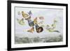 The Fairy Queen's Carriage-Richard Doyle-Framed Giclee Print