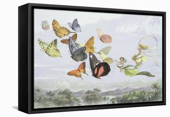 The Fairy Queen's Carriage-Richard Doyle-Framed Stretched Canvas