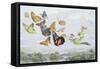 The Fairy Queen's Carriage-Richard Doyle-Framed Stretched Canvas