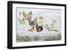 The Fairy Queen's Carriage-Richard Doyle-Framed Giclee Print