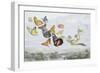 The Fairy Queen's Carriage-Richard Doyle-Framed Giclee Print