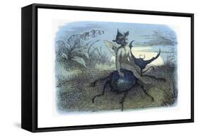 The Fairy Queen's Messenger, C1870-Richard Doyle-Framed Stretched Canvas