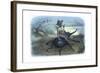 The Fairy Queen's Messenger, C1870-Richard Doyle-Framed Giclee Print