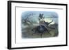 The Fairy Queen's Messenger, C1870-Richard Doyle-Framed Giclee Print