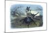 The Fairy Queen's Messenger, C1870-Richard Doyle-Mounted Giclee Print