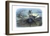 The Fairy Queen's Messenger, C1870-Richard Doyle-Framed Giclee Print