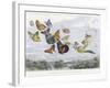 The Fairy Queen Takes an Airy Drive in a Light Carriage-Richard Doyle-Framed Photographic Print