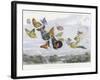 The Fairy Queen Takes an Airy Drive in a Light Carriage-Richard Doyle-Framed Photographic Print