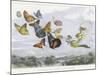 The Fairy Queen Takes an Airy Drive in a Light Carriage-Richard Doyle-Mounted Photographic Print