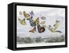 The Fairy Queen Takes an Airy Drive in a Light Carriage-Richard Doyle-Framed Stretched Canvas