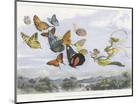 The Fairy Queen Takes an Airy Drive in a Light Carriage-Richard Doyle-Mounted Photographic Print