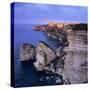 The Falaise and Haute Ville at Dawn, Bonifacio, South Corsica, Corsica, France, Mediterranean, Euro-Stuart Black-Stretched Canvas