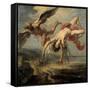 The Fall of Icarus, 1636-1637-Jacob Peter Gowy-Framed Stretched Canvas