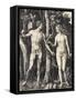 The Fall of Man (Adam and Eve)-Albrecht Dürer-Framed Stretched Canvas