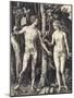 The Fall of Man (Adam and Eve)-Albrecht Dürer-Mounted Giclee Print