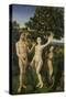 The Fall of Man, (Left Panel of a Diptych)-Hugo van der Goes-Stretched Canvas