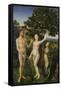 The Fall of Man, (Left Panel of a Diptych)-Hugo van der Goes-Framed Stretched Canvas