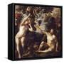 The Fall of Man-Jacob Jordaens-Framed Stretched Canvas