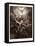 The Fall of the Rebel Angels-Gustave Dore-Framed Stretched Canvas