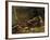 The Fallen Branch, Fontainebleau, C.1816-Achille Etna Michallon-Framed Giclee Print