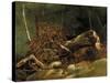The Fallen Branch, Fontainebleau, C.1816-Achille Etna Michallon-Stretched Canvas