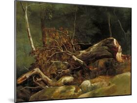 The Fallen Branch, Fontainebleau, C.1816-Achille Etna Michallon-Mounted Giclee Print
