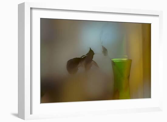 The Fallen Hellebore-Valda Bailey-Framed Photographic Print