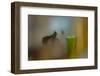 The Fallen Hellebore-Valda Bailey-Framed Photographic Print