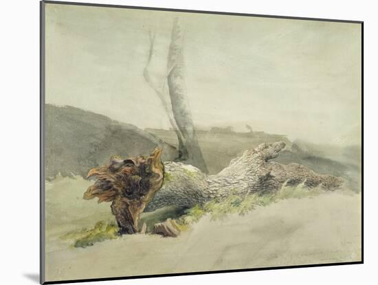 The Fallen Tree, C.1804-Robert Hills-Mounted Giclee Print